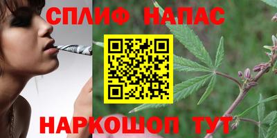 гашик Канаш