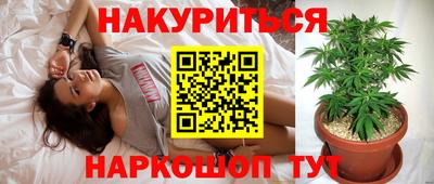 мяу мяу мука Кандалакша