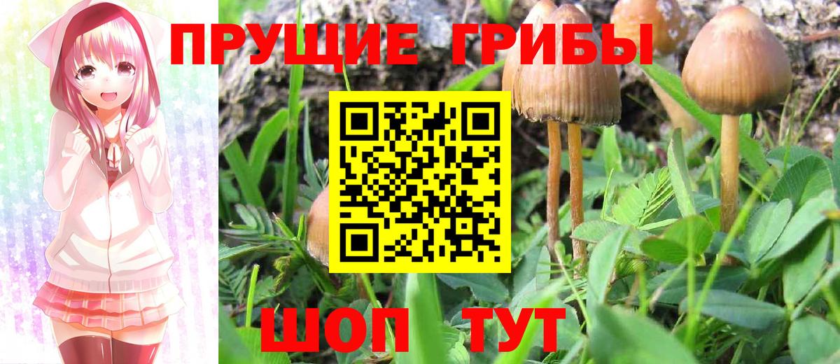 Псилоцибиновые грибы MAGIC MUSHROOMS Лесной