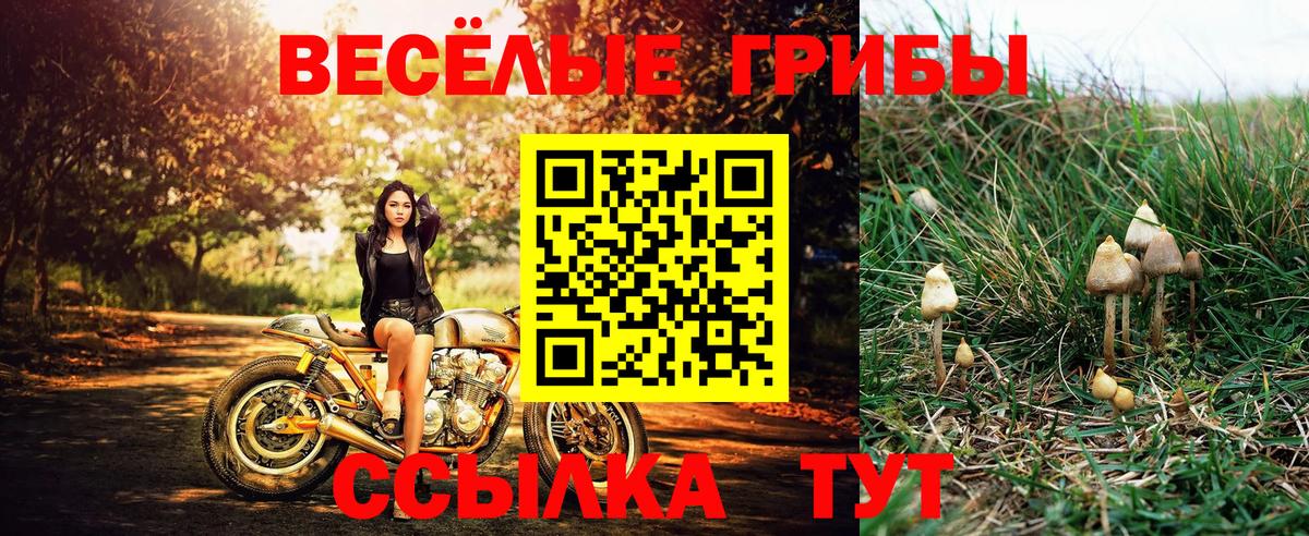 Лесной  Псилоцибиновые грибы Psilocybine cubensis  как найти закладки  Вход с VPN 